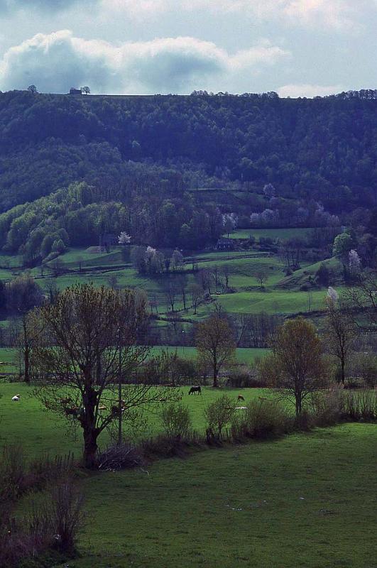 WT 2500 317-25 France 92.jpg